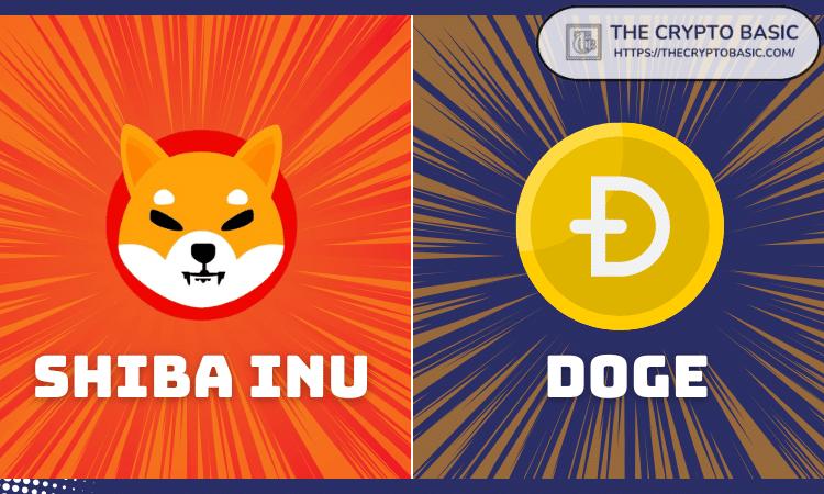 The Potential Growth of Shiba Inu if Dogecoin Market Cap Doubles